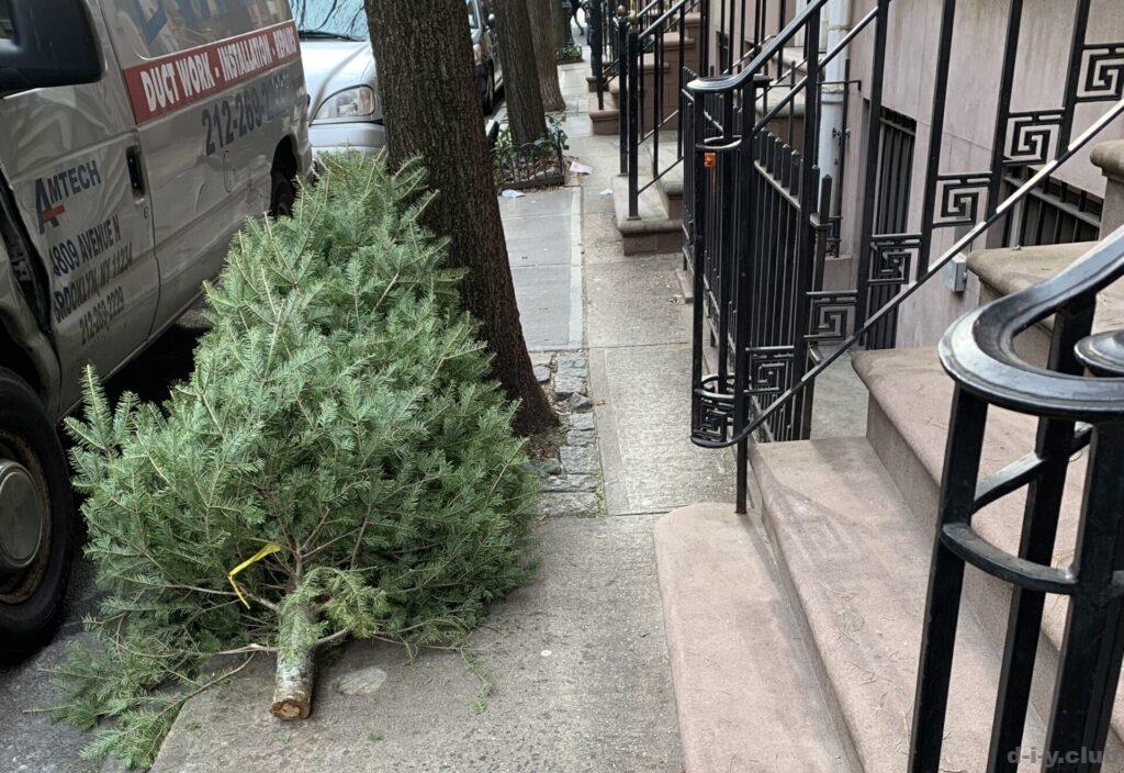 歩道にはクリスマスツリー